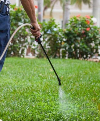 iScape NT landscaping work in Darwin City