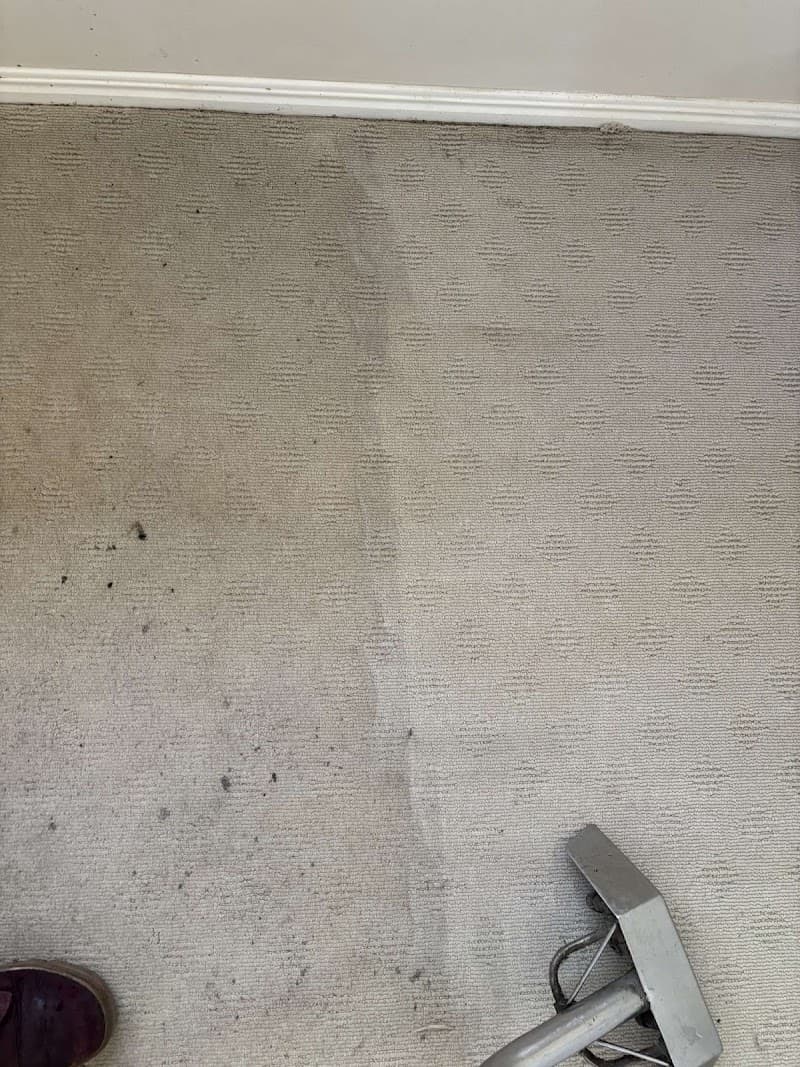 Ivey's Pest Control pest control work in Tinana