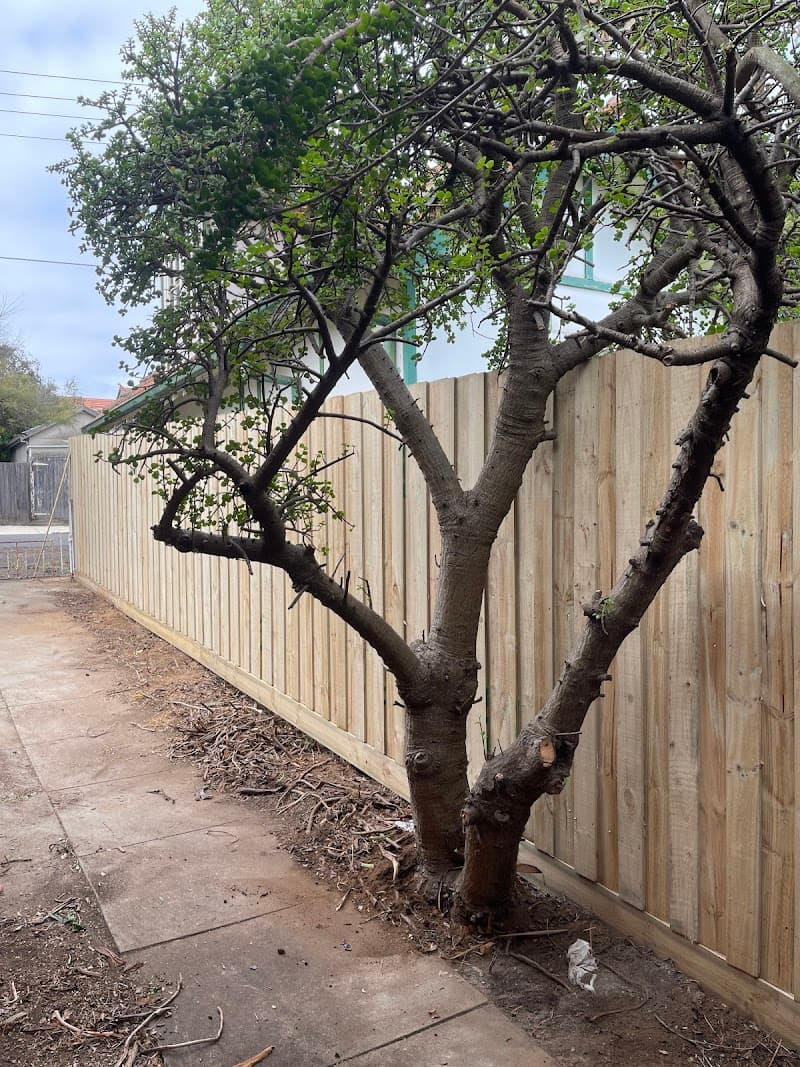 Ivy Fencing Solutions fencing work in South Melbourne