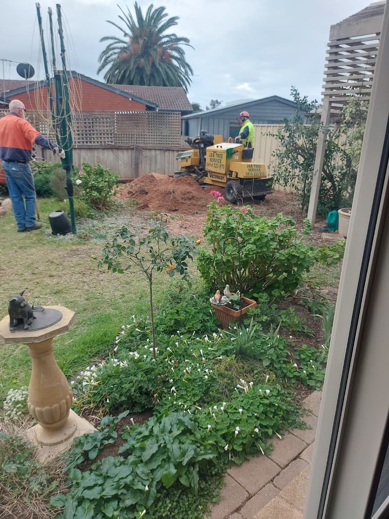 J & B Tree Service - Tree and Stump Removal Adelaide tree services work in North Haven