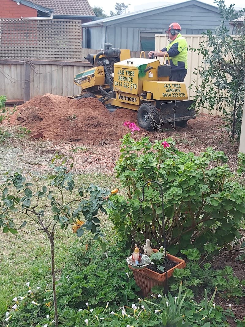 J & B Tree Service - Tree and Stump Removal Adelaide tree services work in North Haven