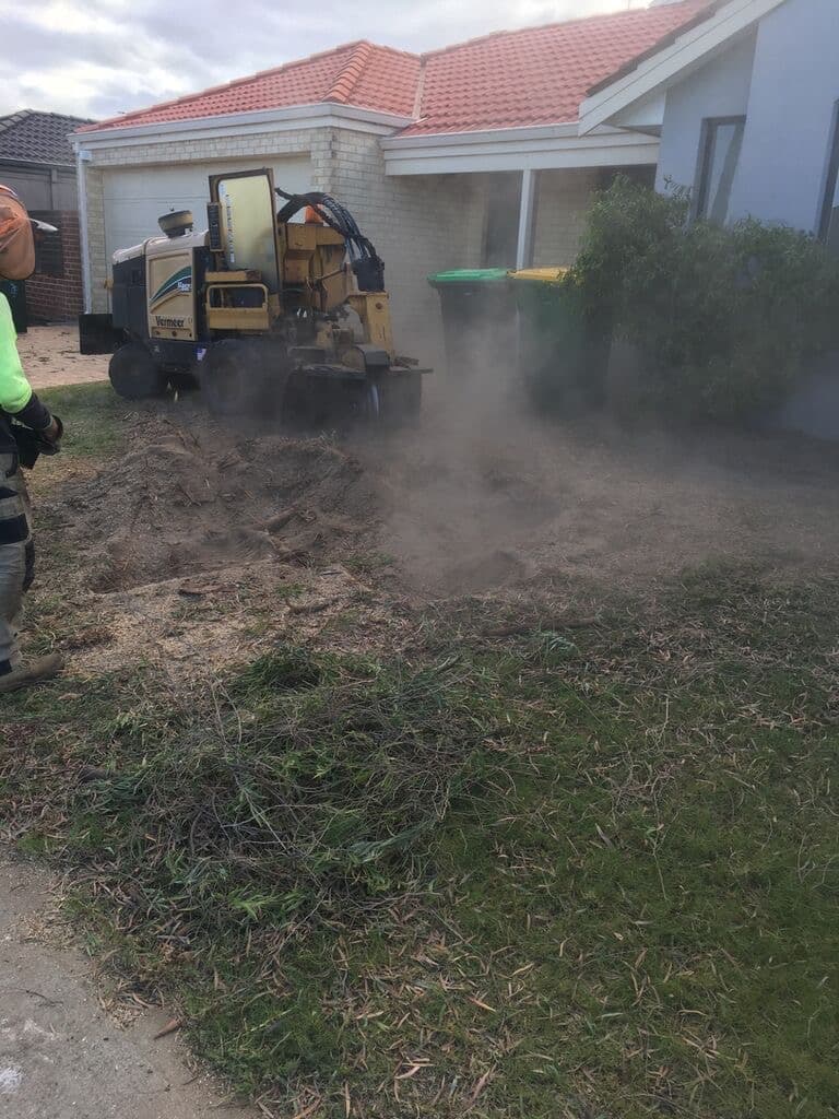 J & T Tree Service tree services work in Madora Bay