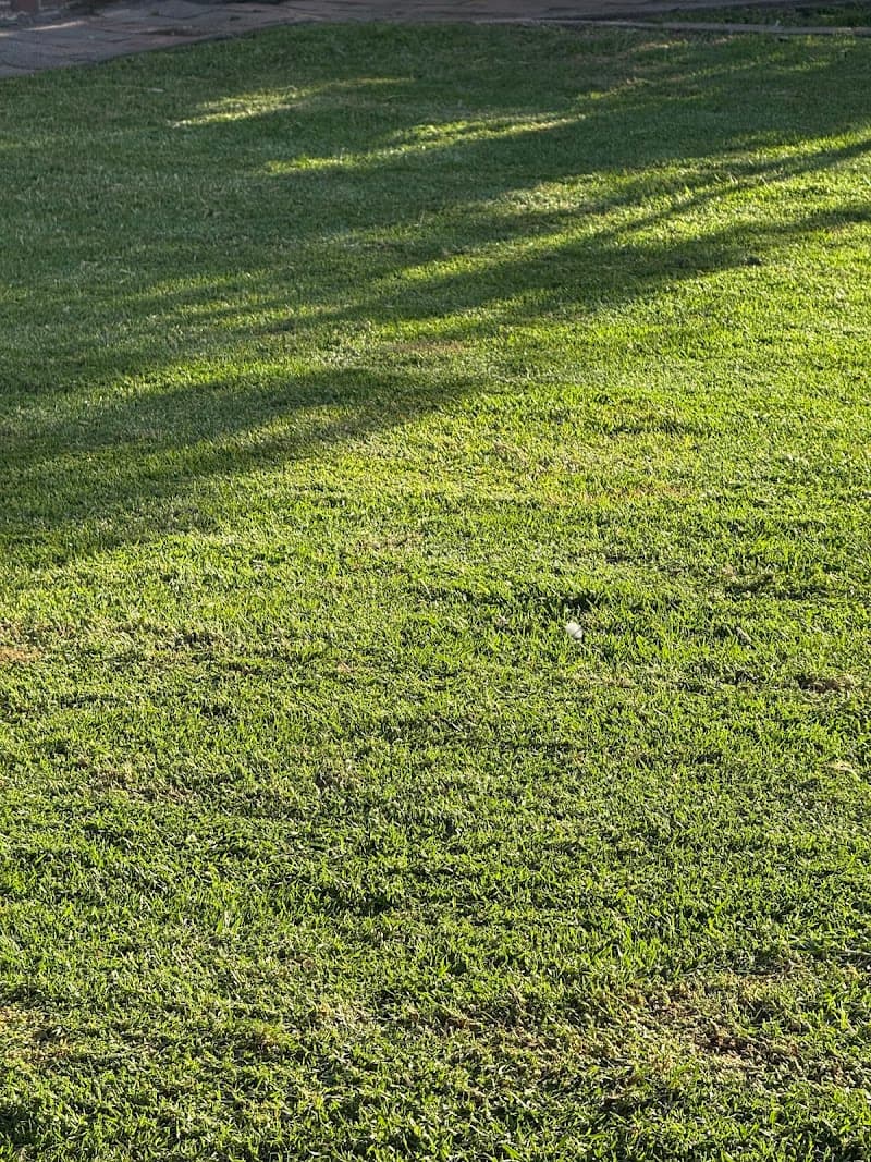 Jacks Lawn Care lawn care work in Sutherland