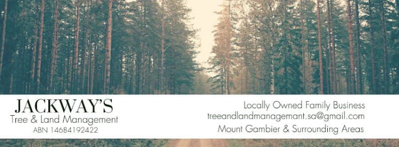 JACKWAY'S TREE AND LAND MANAGEMENT tree services work in Mount Gambier