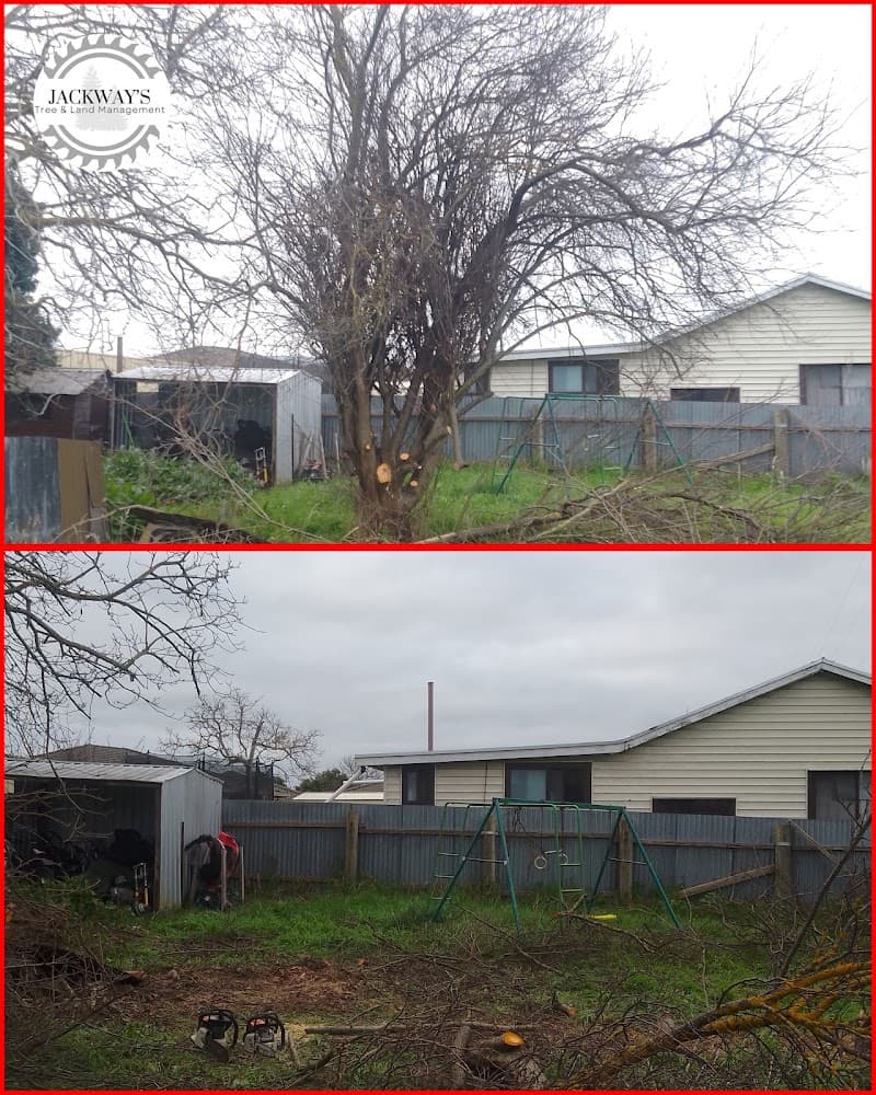 JACKWAY'S TREE AND LAND MANAGEMENT tree services work in Mount Gambier
