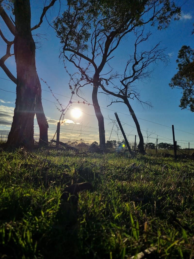 JACKWAY'S TREE AND LAND MANAGEMENT tree services work in Mount Gambier