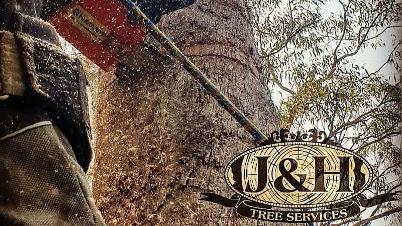 J&H Tree Services tree services work in Glenmore Park
