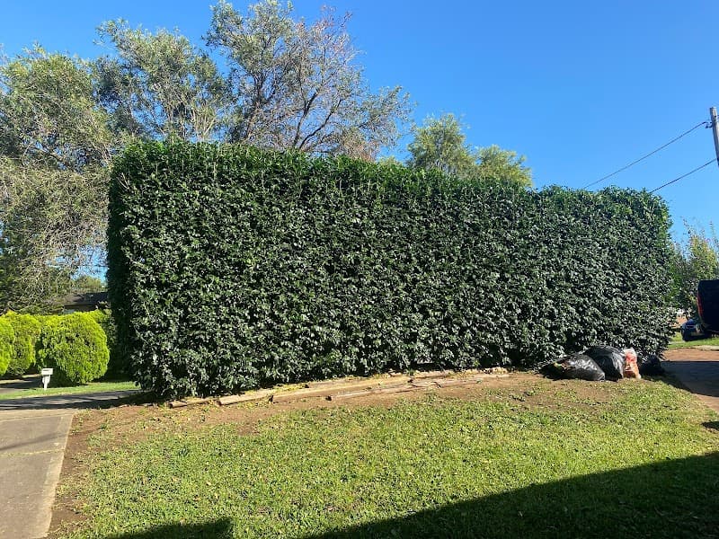 Jason Lawn Mowing Services lawn care work in South Wentworthville