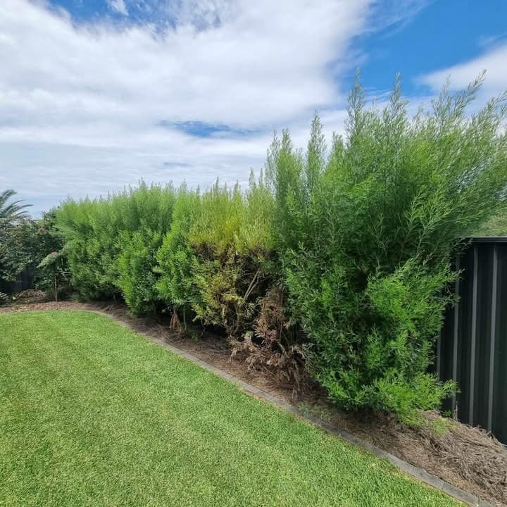 JBP lawn and garden maintenance lawn care work in Glenmore Park