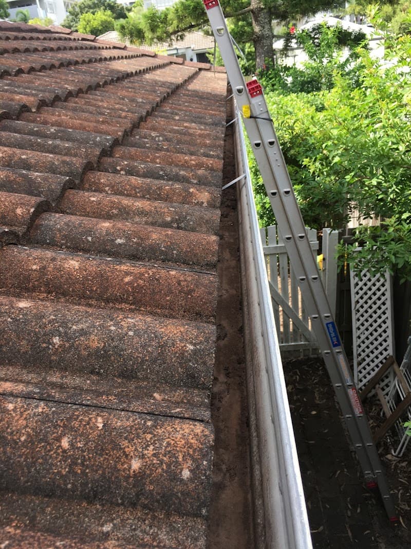 JC Gutter Cleaning gutter cleaning work in Elanora
