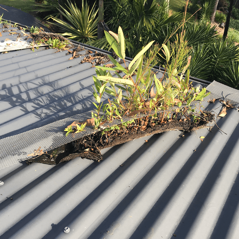JC Gutter Cleaning gutter cleaning work in Elanora