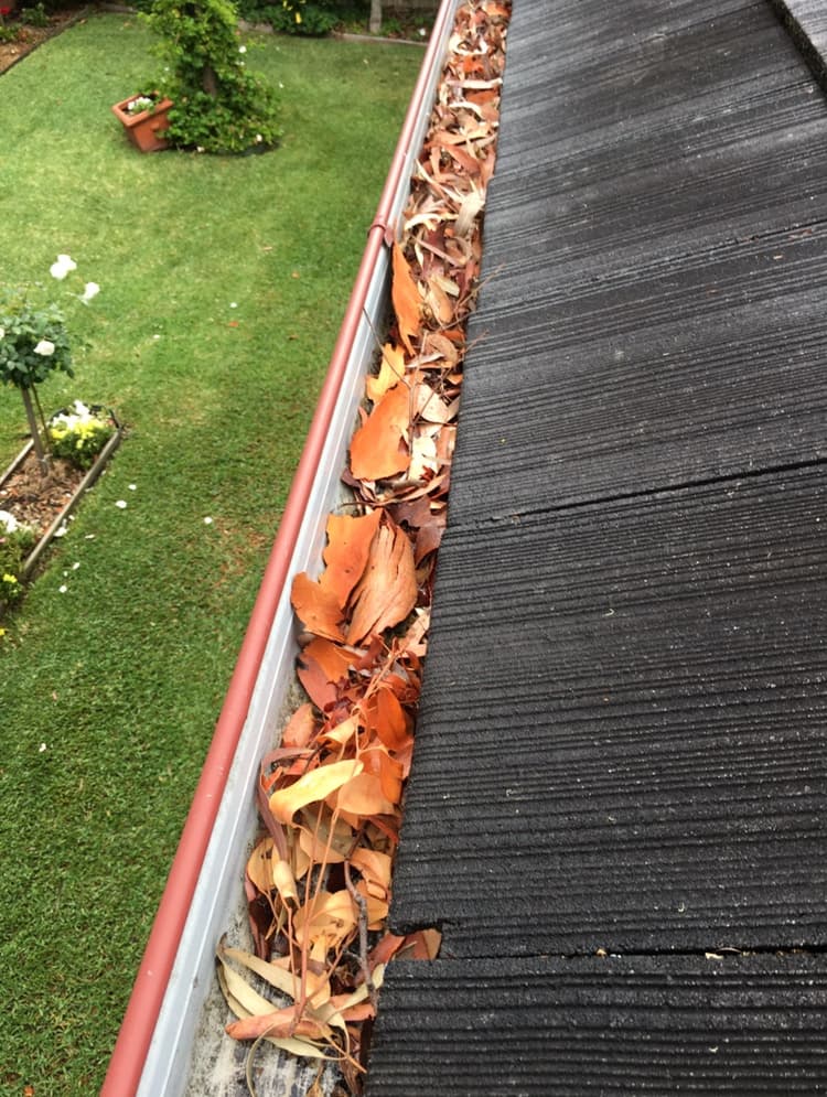 JC Gutter Cleaning gutter cleaning work in Elanora