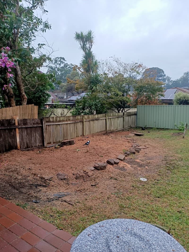 JC Tree Management - Arborist & Tree Services tree services work in Castle Hill
