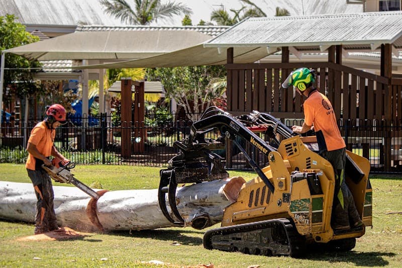 JC Tree Services tree services work in Gaven
