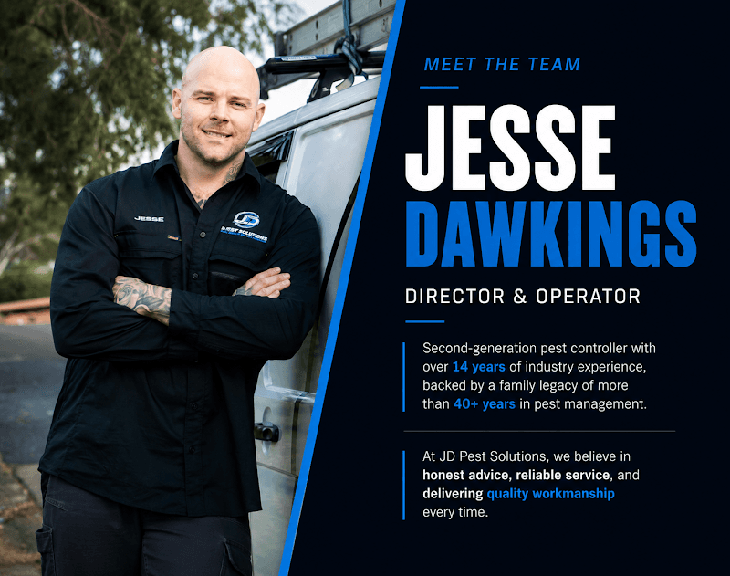 JD Pest Solutions pest control work in Menai