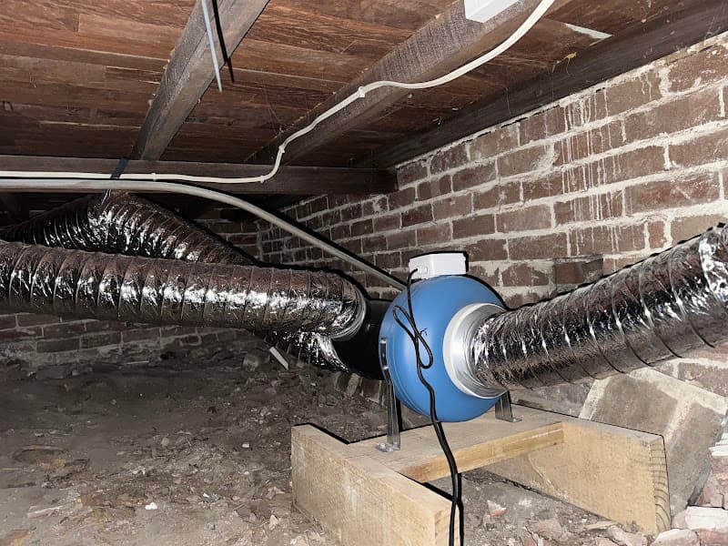 JD Pest Solutions pest control work in Menai