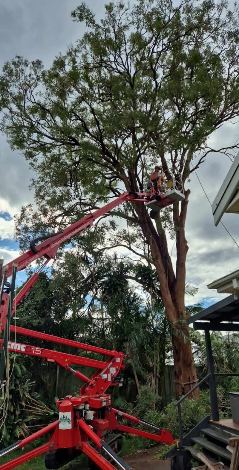 JD tree care tree services work in Umina Beach