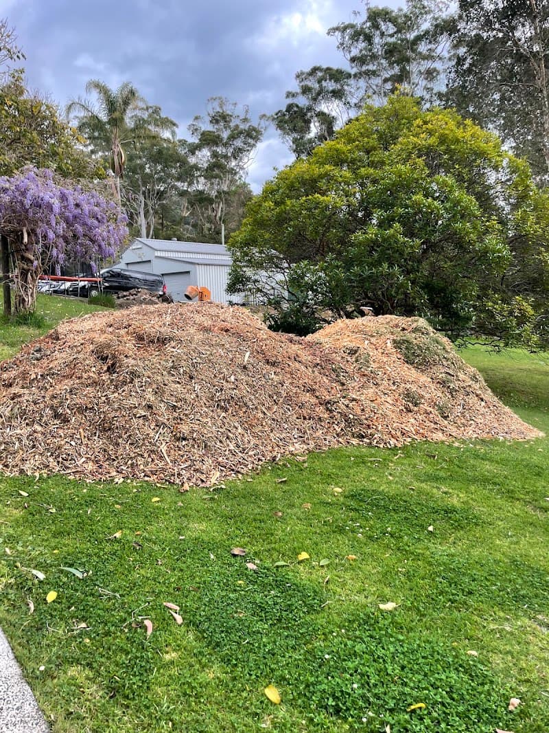 JD tree care tree services work in Umina Beach