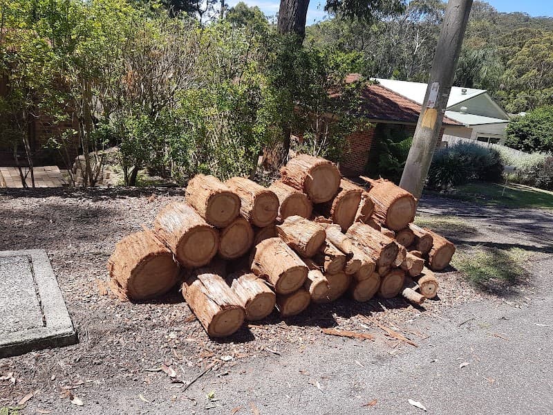 JD tree care tree services work in Umina Beach