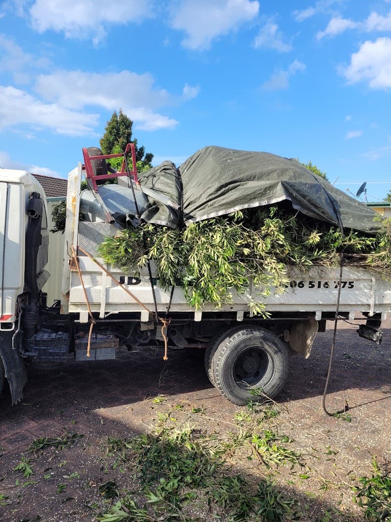 JD tree care tree services work in Umina Beach