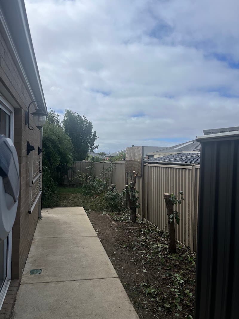 Jealous Neighbour Lawn Care lawn care work in Bonshaw