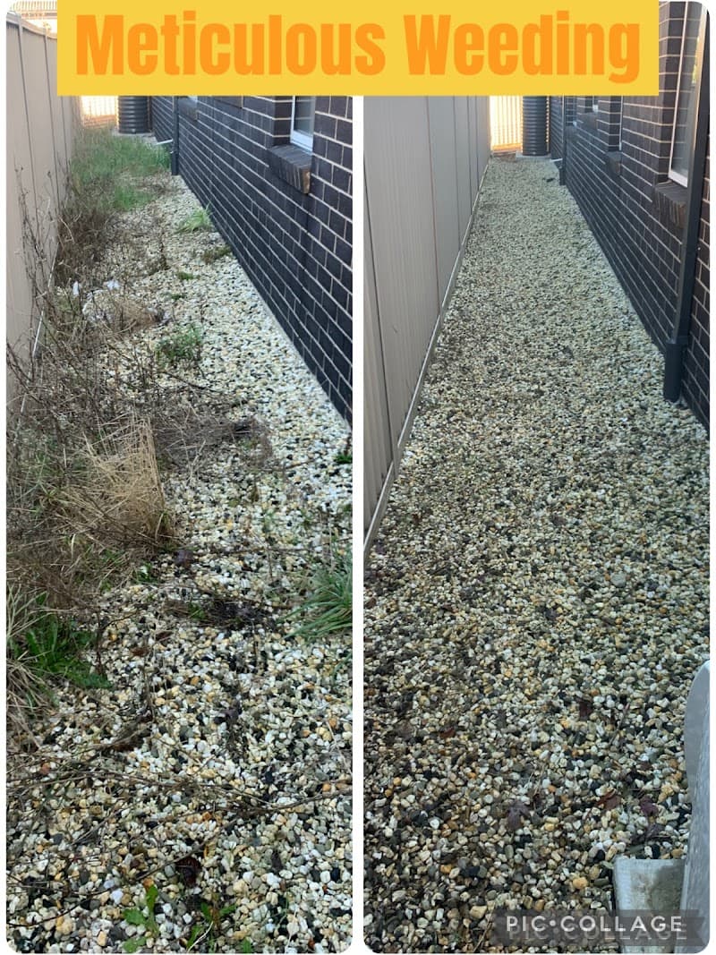 Jealous Neighbour Lawn Care lawn care work in Bonshaw