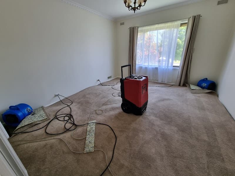 Jena's Carpet Cleaning Drying & Restoration carpet cleaning work in Melbourne