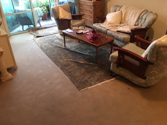 Jena's Carpet Cleaning Drying & Restoration carpet cleaning work in Melbourne