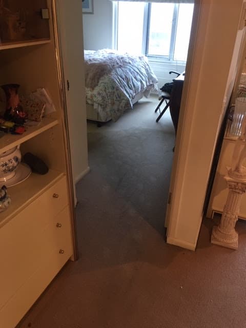 Jena's Carpet Cleaning Drying & Restoration carpet cleaning work in Melbourne