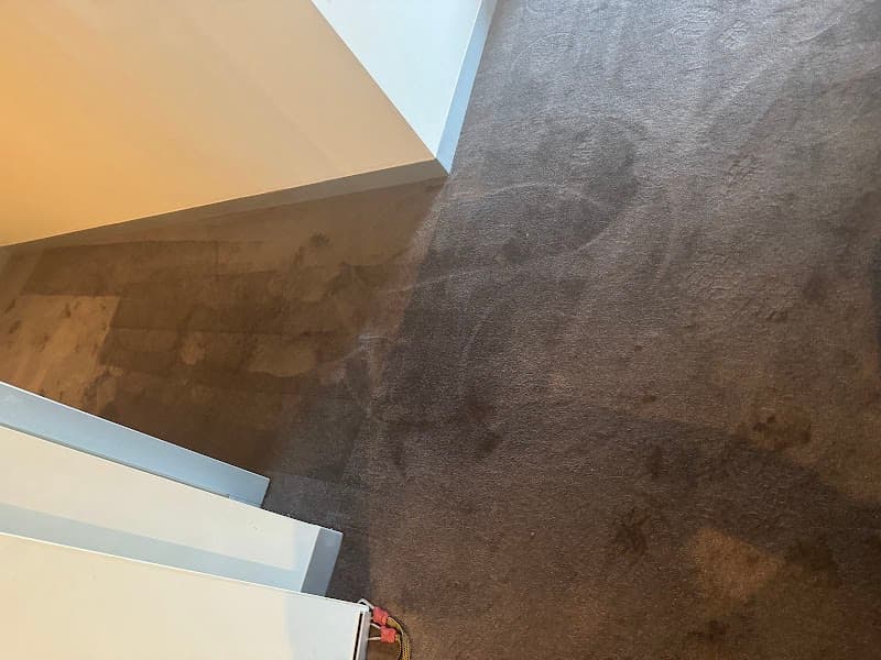 Jena's Carpet Cleaning Drying & Restoration carpet cleaning work in Melbourne