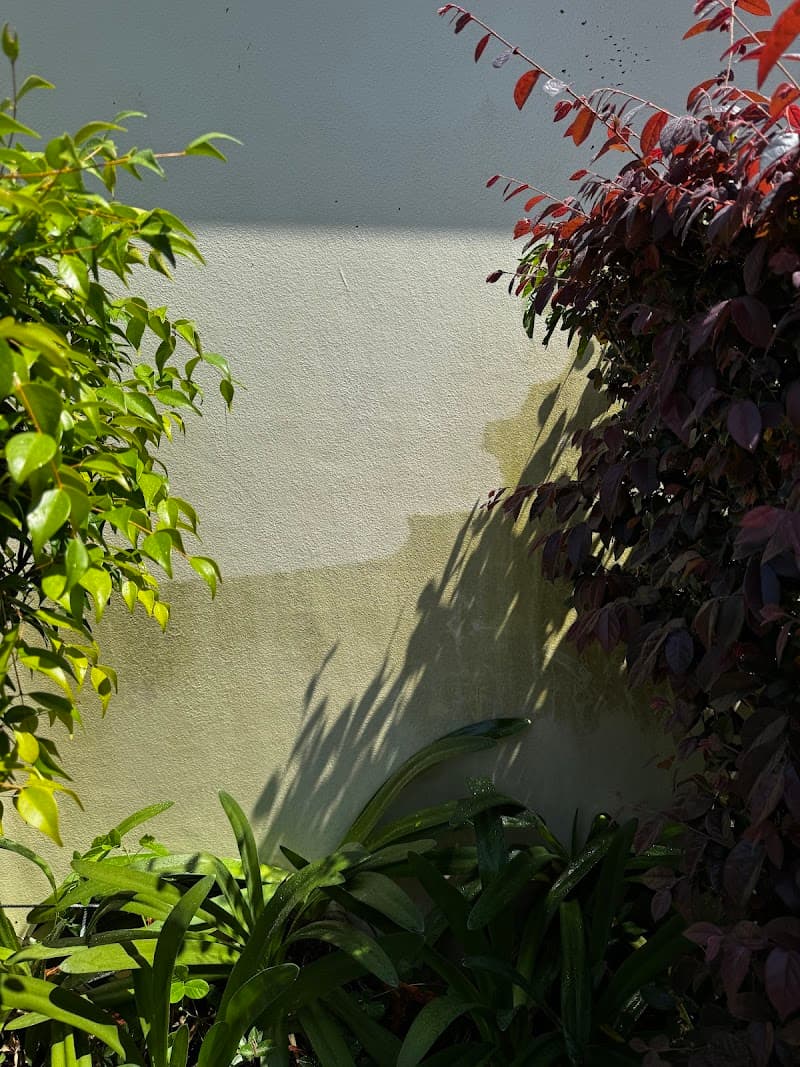 Jet Wash & Cut pressure washing work in Alexandra Hills