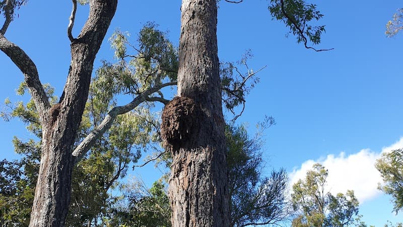Jets Pest Control Ipswich pest control work in Ipswich