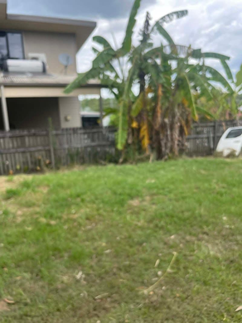 JH Logan City Mowing landscaping work in Slacks Creek