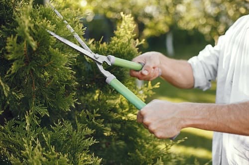 Jigs Garden Services gardening work in Bonner