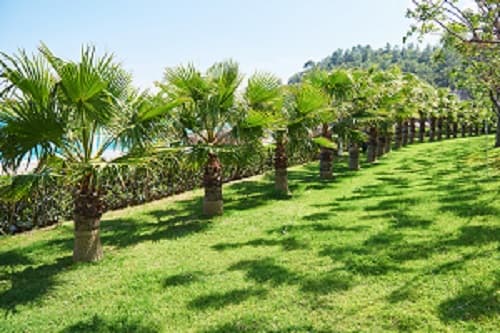Jigs Garden Services gardening work in Bonner