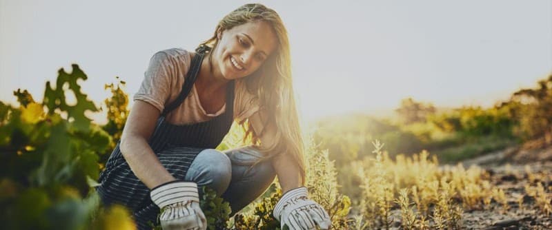 Jigs Garden Services gardening work in Bonner
