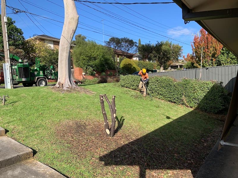 Jim's Trees & Stump Removal tree services work in Melbourne
