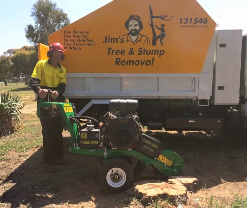 Jim's Trees & Stump Removal tree services work in Melbourne