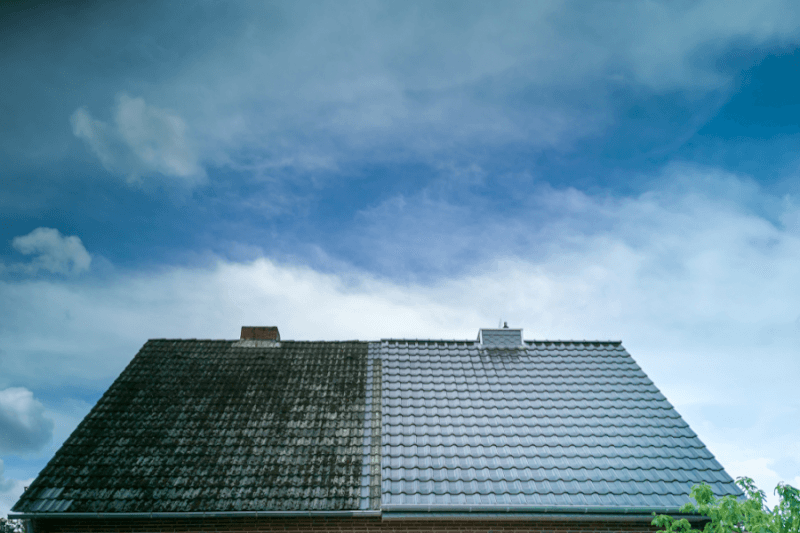 Jo and Co Services gutter cleaning work in Springfield