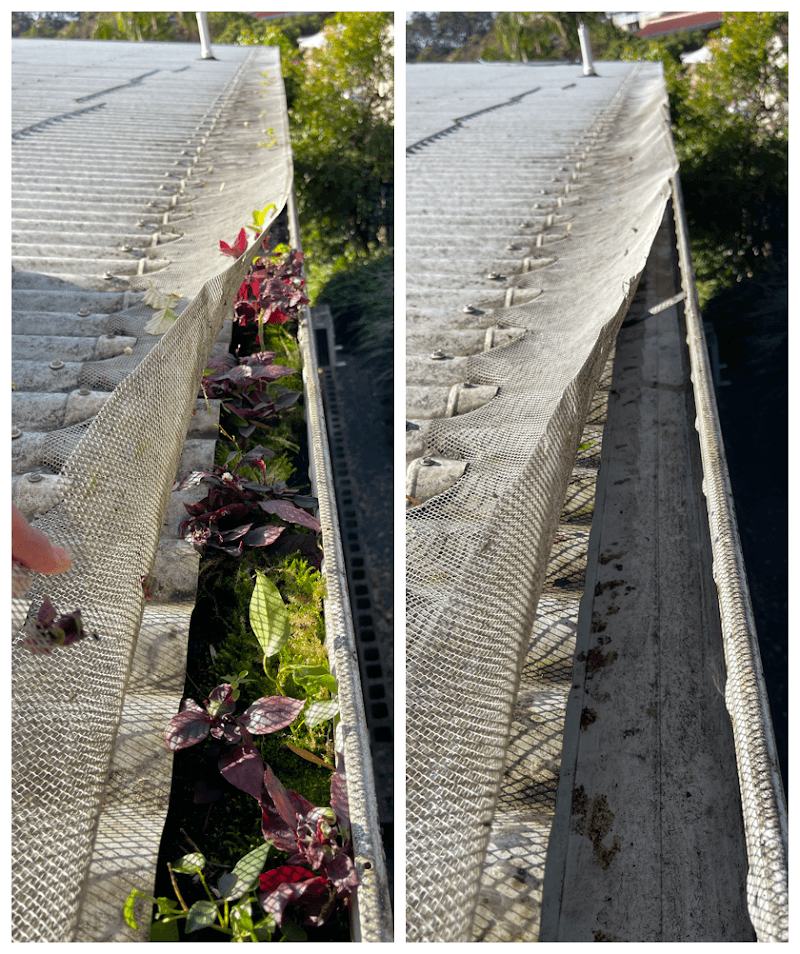 Joe's Gutter Cleaning & Maintenance gutter cleaning work in Currumbin Waters