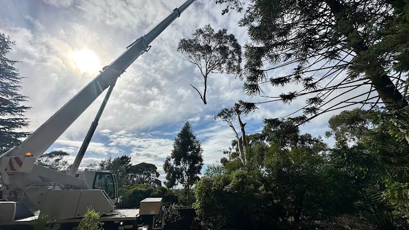 JTK Tree Services tree services work in Flinders