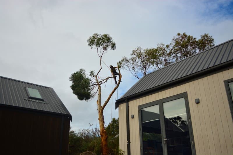JTK Tree Services tree services work in Flinders