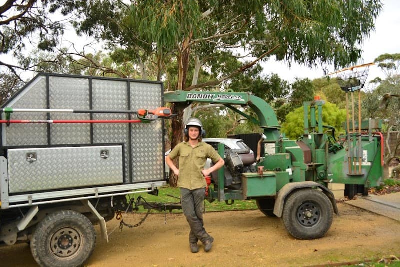 JTK Tree Services tree services work in Flinders