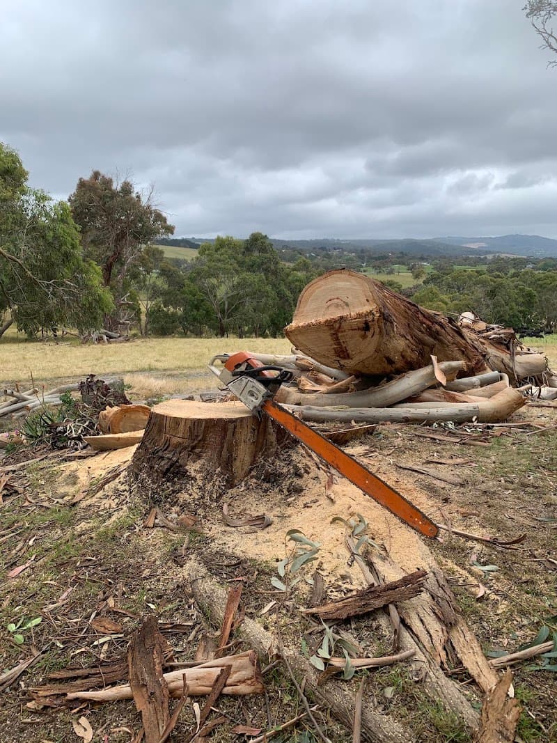 JTK Tree Services tree services work in Flinders