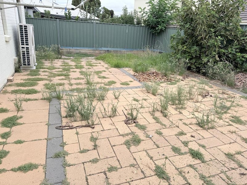 Jub's Gardening & Lawn Services lawn care work in Ridgehaven