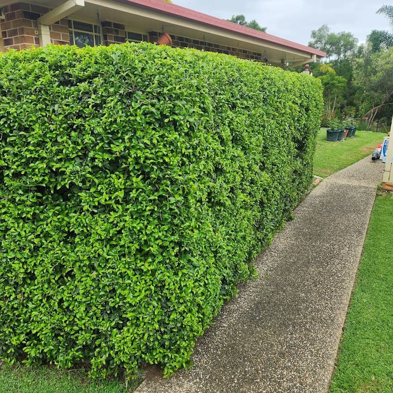 JW Lawn and Garden Care lawn care work in Brassall