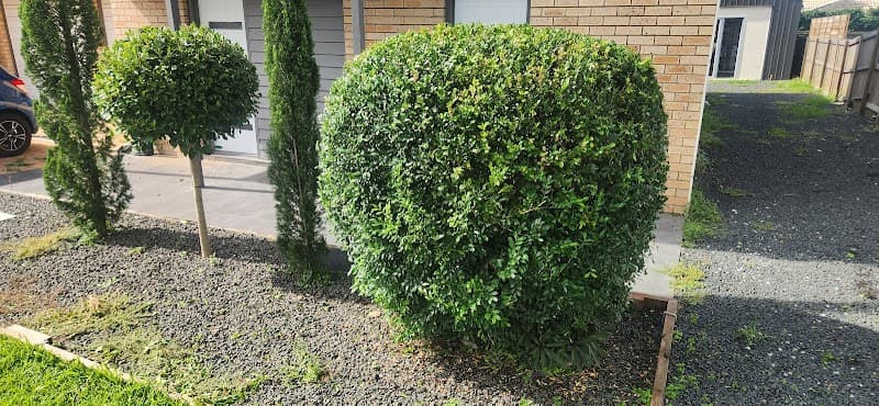 JW Lawn and Garden Care lawn care work in Brassall