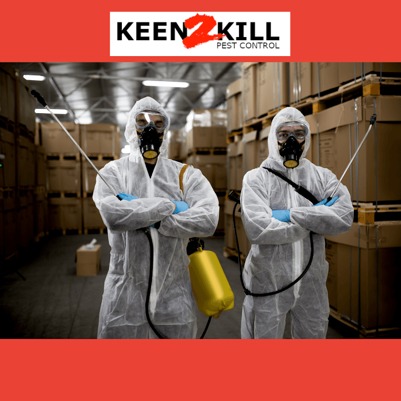 Keen2Kill Pest Control pest control work in Mackay