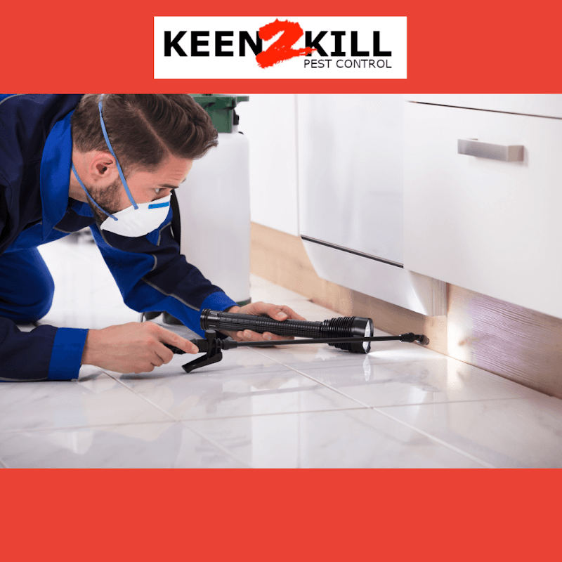 Keen2Kill Pest Control pest control work in Mackay
