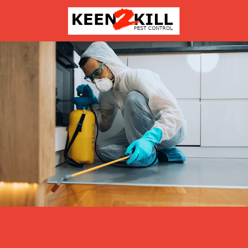 Keen2Kill Pest Control pest control work in Mackay